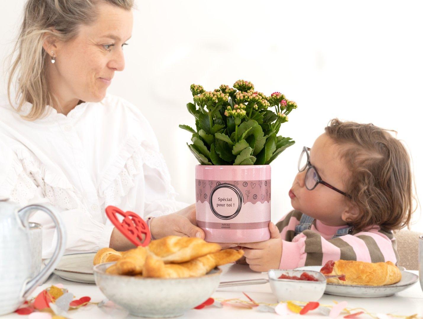 planten essen Kalanchoe „SPEZIELL FÜR DICH“ Verpackung – Ø 12 cm – ↕ 27 cm –  Zimmerpflanze