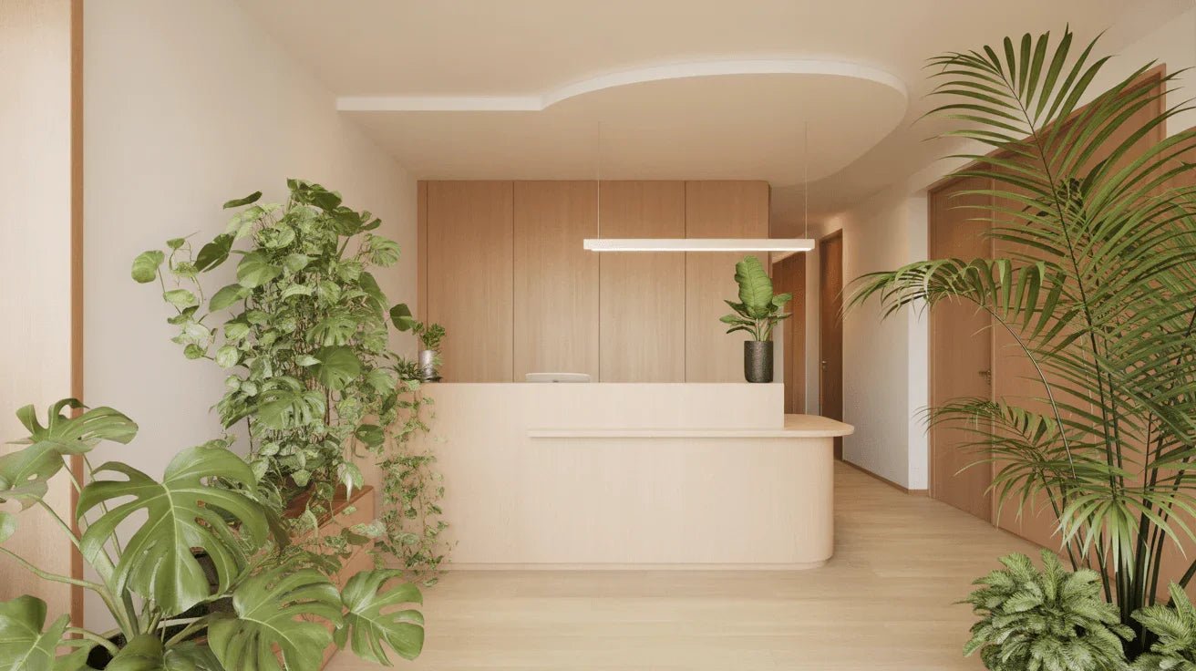 Kantoorplanten voor receptie, entree en werkplek – complete gids - Planten Magie