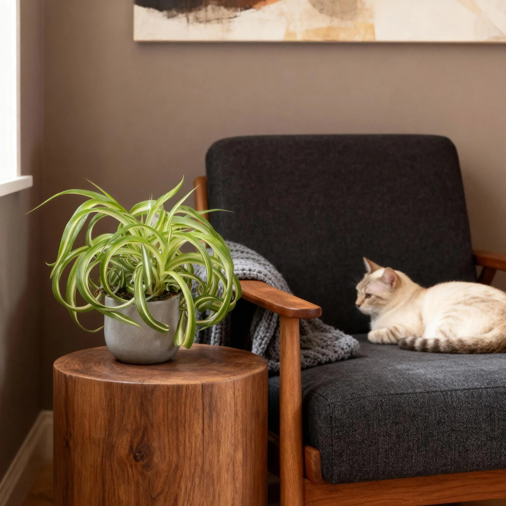 Materiaal & sfeer: keramiek, mand of kunststof kiezen - Planten Magie