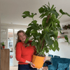 XL Monstera (150 cm) – direct een volle, groene woonkamer 🌿 - Plant - plantenmagie