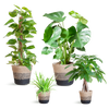 Schaduw Plantenbox - medium - met mand Lissabon wit