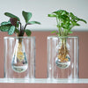 Christmas | MIX In Sydney Glas + LED - 1 stuk - Ø7cm - ↕20cm-Planten-Planten Magie