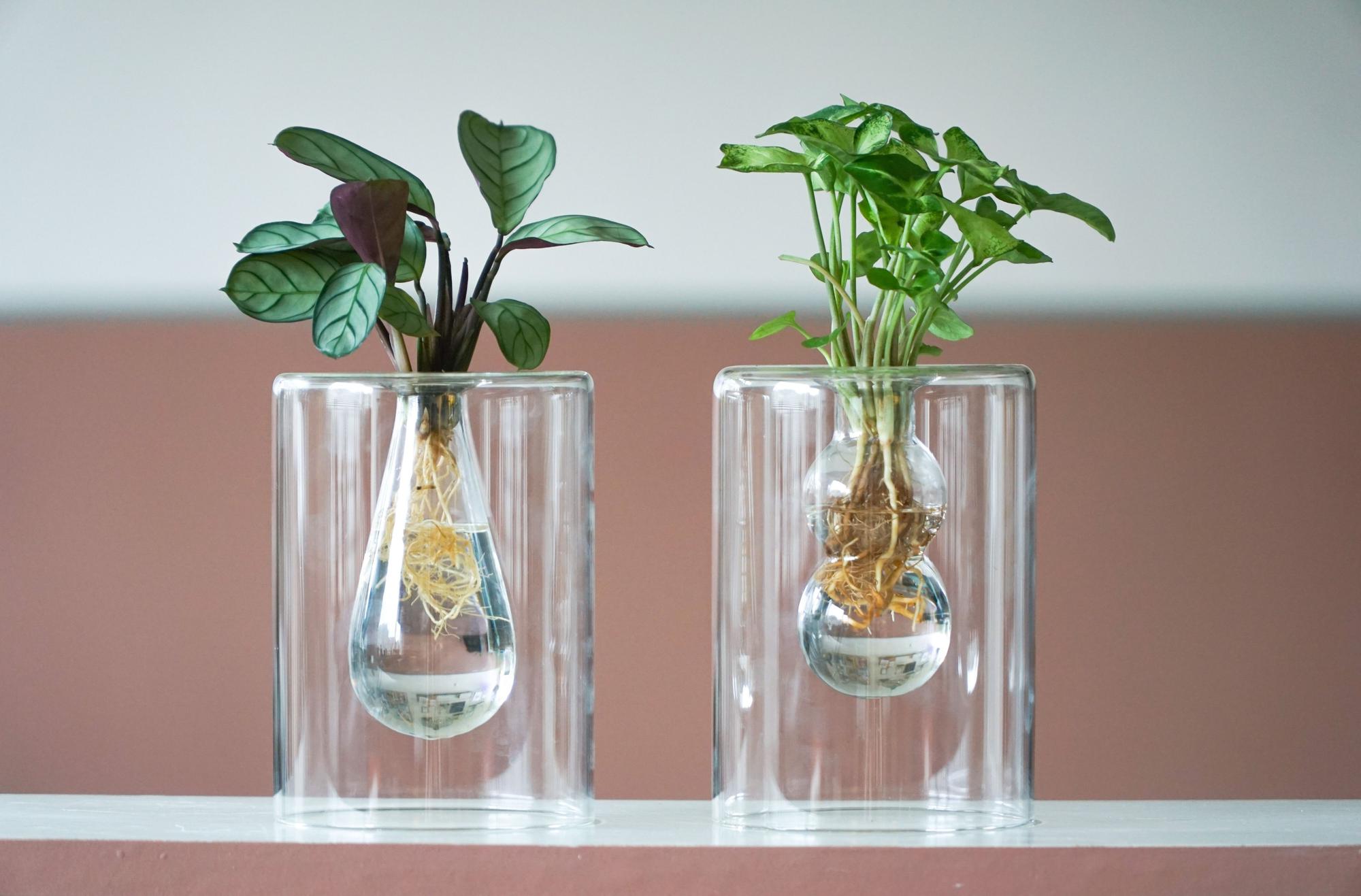 Christmas | MIX In Sydney Glas + LED - 1 stuk - Ø7cm - ↕20cm-Planten-Planten Magie