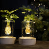 Christmas | MIX In Sydney Glas + LED - 1 stuk - Ø7cm - ↕20cm-Planten-Planten Magie
