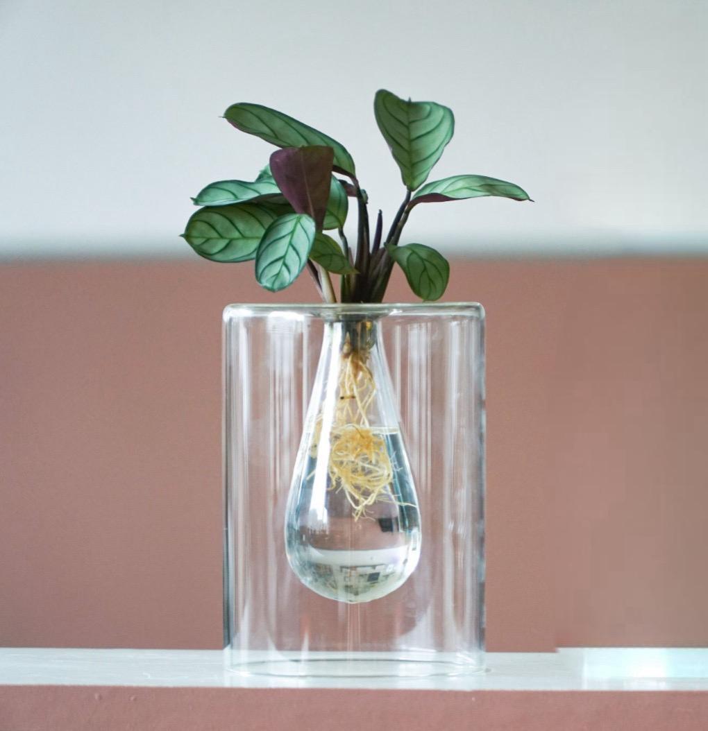 Christmas | MIX In Sydney Glas + LED - 1 stuk - Ø7cm - ↕20cm-Planten-Planten Magie