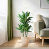 Dracaena Janet Lindt met Sofia mand naturel - 95cm - Ø21 - Planten - plantenmagie