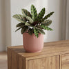 ELHO Vibes Fold 14cm geel-Pot-Planten Magie