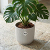 ELHO Vibes Fold 14cm geel-Pot-Planten Magie