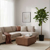 Ficus Lyrata stam inclusief pot zwart - 160 cm - Ø30-Planten-Planten Magie