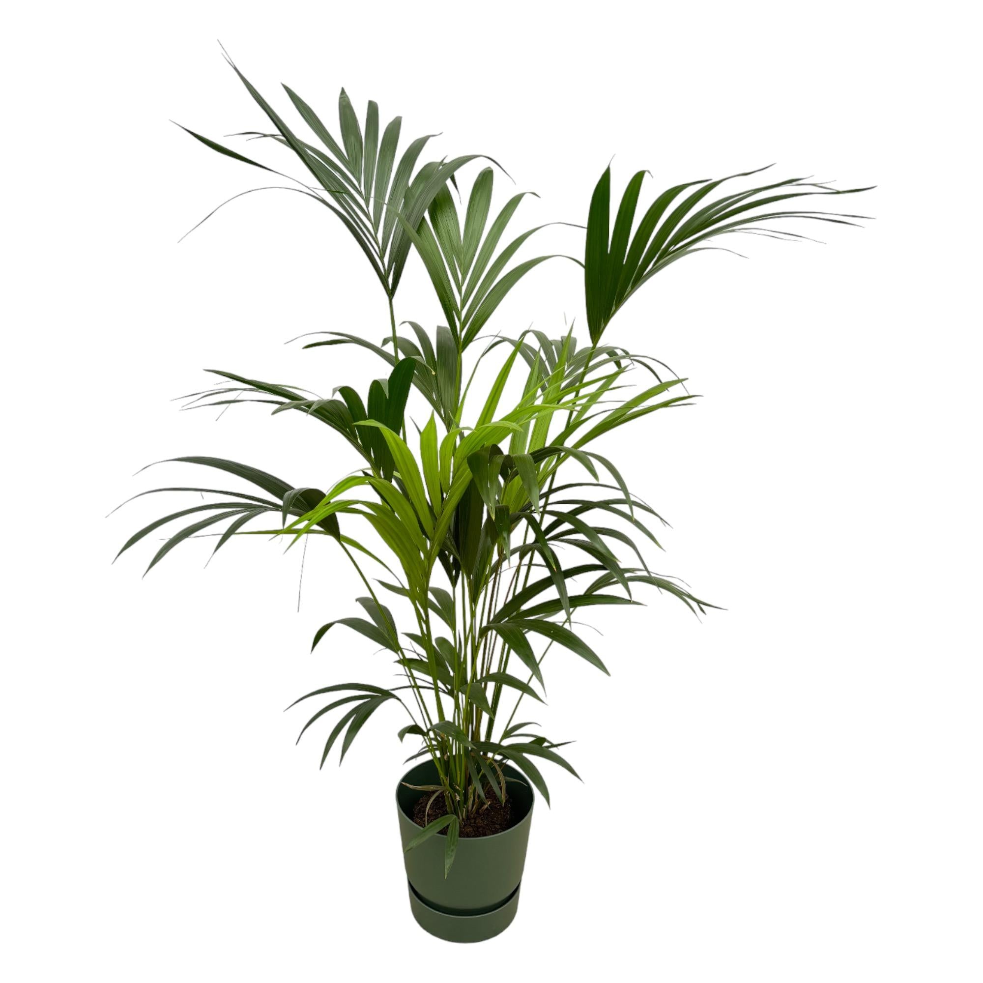 Elho Greenville Round plantenpot in groen, duurzaam en gemaakt van gerecycled kunststof