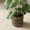 Mand Celestial zwart D20-Pot-Planten Magie