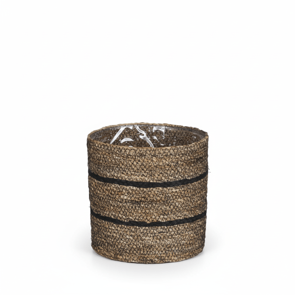 Mand Celestial zwart D20-Pot-Planten Magie
