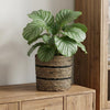 Mand Celestial zwart D20-Pot-Planten Magie