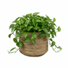 Mand Isla naturel - D33xH23 - kamerplant mand-Potten-Planten Magie