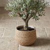 Mand Jorck bruin D26-Pot-Planten Magie