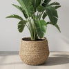 Mand Jorck bruin D26-Pot-Planten Magie