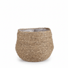 Mand Jorck bruin D26-Pot-Planten Magie
