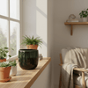 Pot Babet Pine bloempot – D30 x H27-Potten-Planten Magie