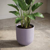 Pot Elho Jazz Round Lavender Lilac - D14-Pot-Planten Magie