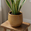 Pot Gabriel rond oker D14-Pot-Planten Magie