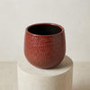 Pot Gabriel rond oker D14-Pot-Planten Magie