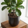 Pot Mayk Lead - D20 - een eigentijdse sierpot-Potten-Planten Magie