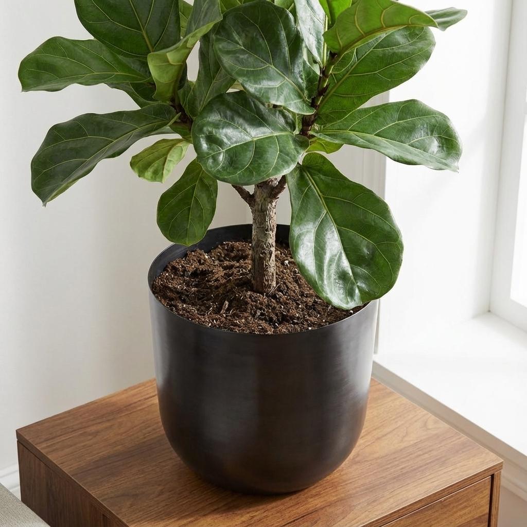 Pot Mayk Lead - D20 - een eigentijdse sierpot-Potten-Planten Magie