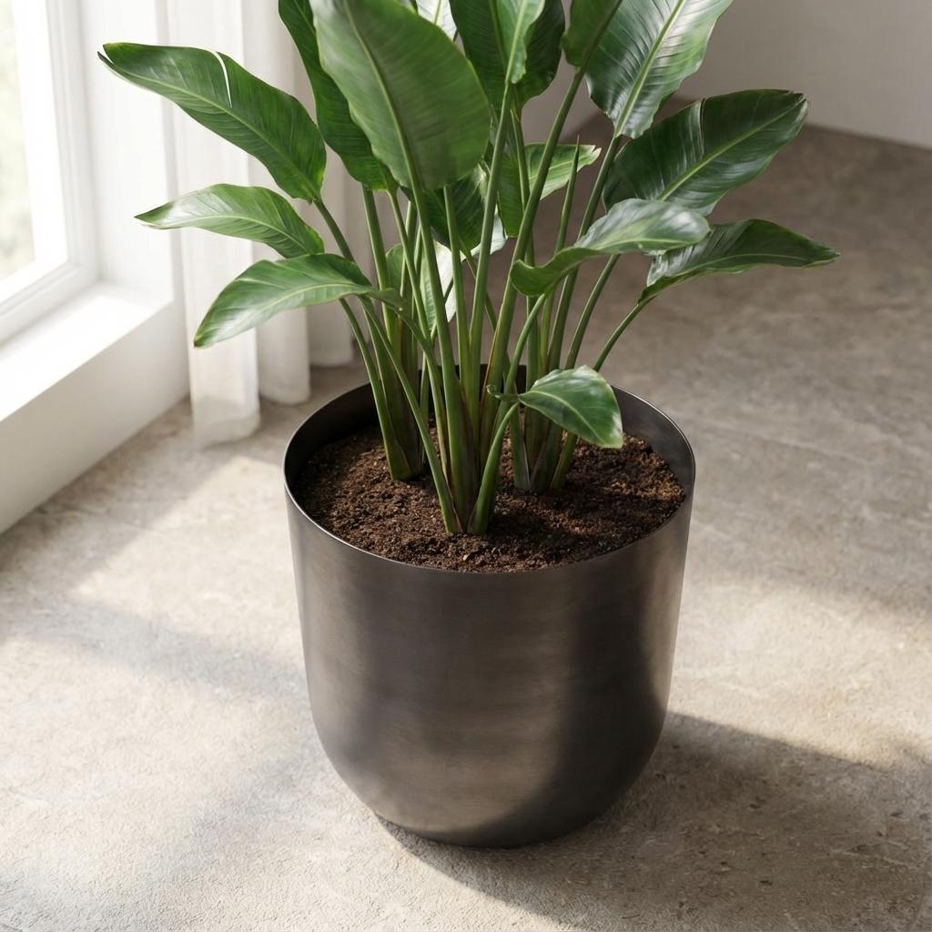 Pot Mayk Lead - D20 - een eigentijdse sierpot-Potten-Planten Magie