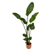 Strelitzia Nicolai inclusief elho Vibes Fold Round roze - 160cm - Ø30