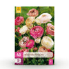 ranunculus pastel mix bloembollen in volle bloei in tuinborder