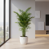 Kentia Palm 160cm met Elho Vibes Fold Round pot – stijlvolle kamerplant voor woonkamer of kantoor