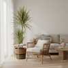 dracaena-marginata-bicolor-met-mand-110cm-plantenmagie
