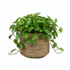 Mand Isla naturel gebruikt als plantenmand in boho interieur