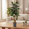 Polyscias Fabian - 130 cm - ø27 - Plant - plantenmagie