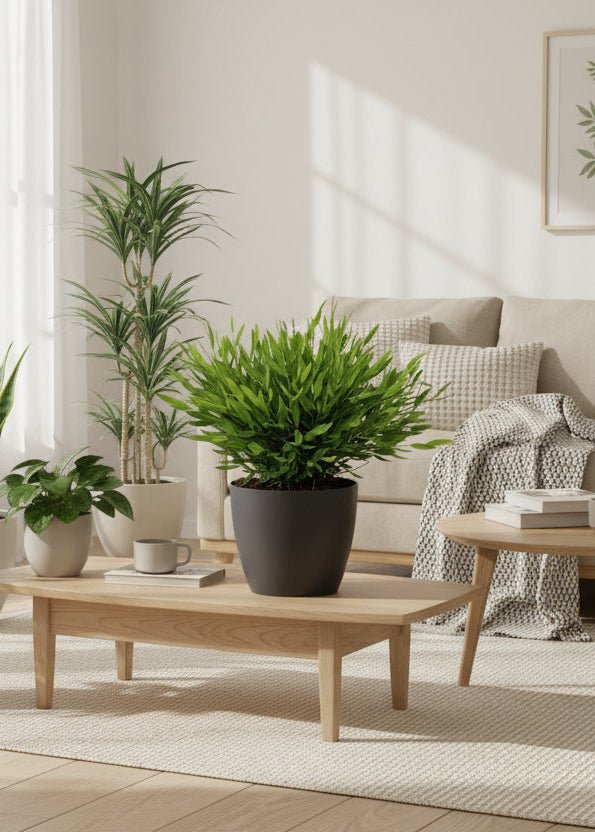 Pogonatherum Monica bamboegras 20 cm met grijze pot Ø12 cm - Plant - plantenmagie