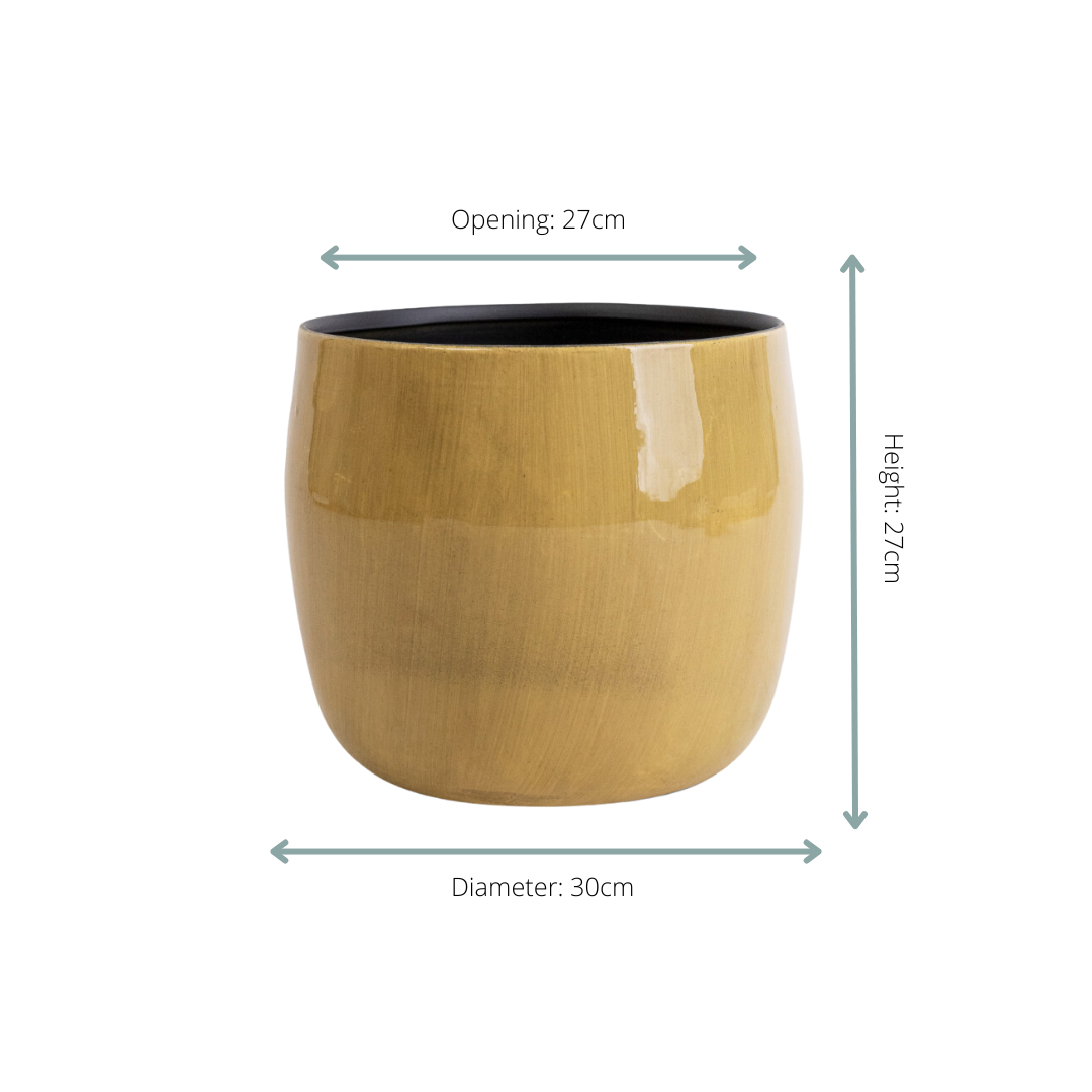 Pot Babet Camel met groene kamerplant – stijlvolle interieurdecoratie