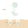 Bloembollen - Ranunculus Mix - Diversen Kleuren - 40 stuks