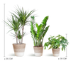 Schaduw Plantenbox - medium - met mand Lissabon wit