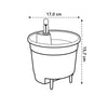 self-watering-insert-17cm-gebruikt – Insert geplaatst in plantenpot met groene kamerplant