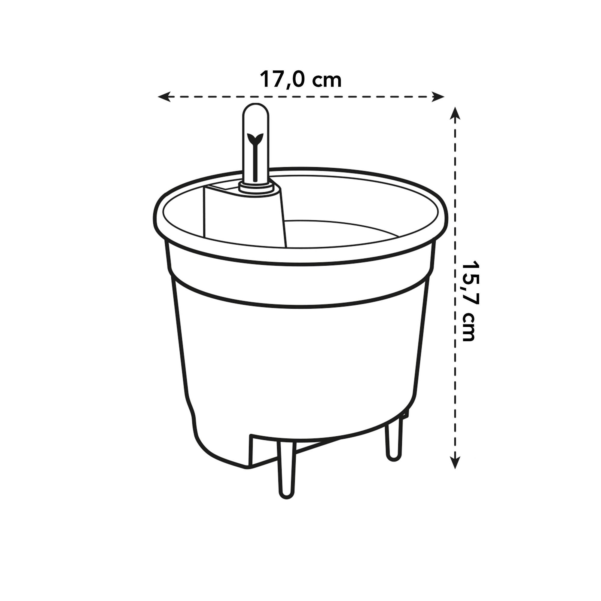 self-watering-insert-17cm-gebruikt – Insert geplaatst in plantenpot met groene kamerplant