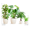 Easy care Plantenbox - medium - met vibers pot wit