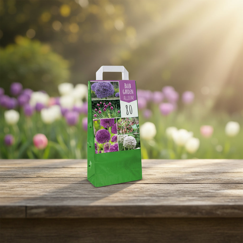 bloembollen allium mix in cadeauverpakking