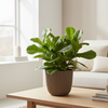 “Elho Vibes Fold Rond pot pastelkleur met ribpatroon – duurzame design bloempot”