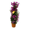 Bougainvillea pyramide - 80 cm - Ø17cm - Plant - plantenmagie