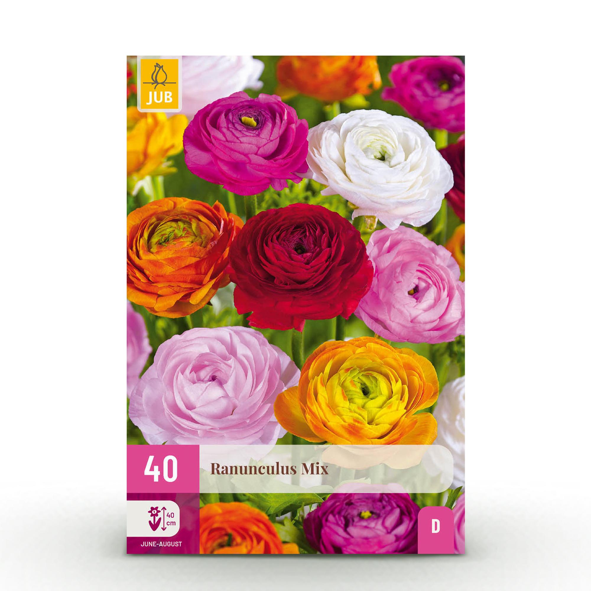 Bloembollen - Ranunculus Mix - Diversen Kleuren - 40 stuks