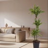 Dracaena Lemon Lime - 130 cm - ø24 - Plant - plantenmagie