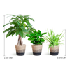 Diervriendelijke Plantenbox - klein - met Mand Lissabon zwart - Ø12