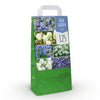 Bloembollen - Diversen soorten en kleuren - 125 stuks - Gift Verpakking
