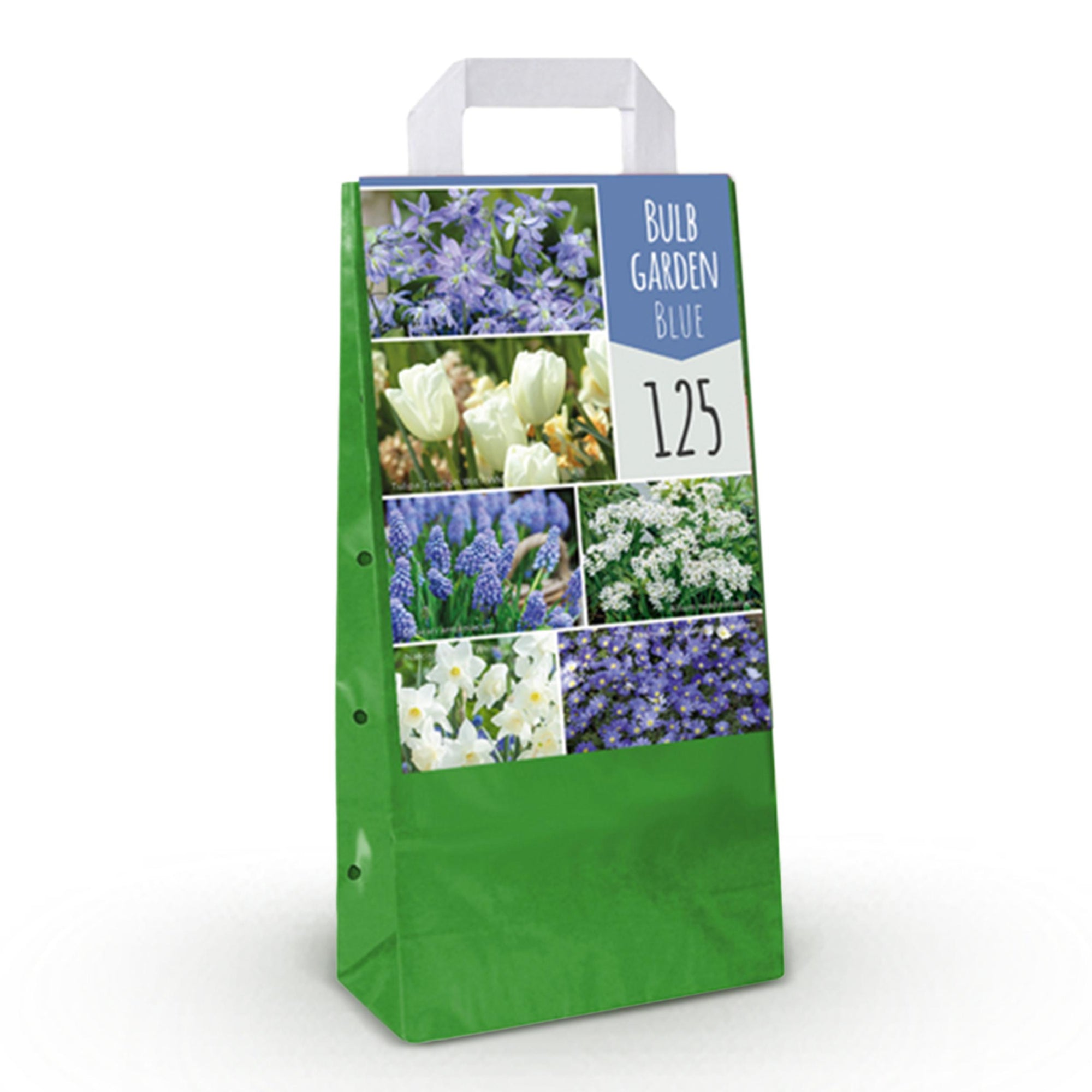 Bloembollen - Diversen soorten en kleuren - 125 stuks - Gift Verpakking