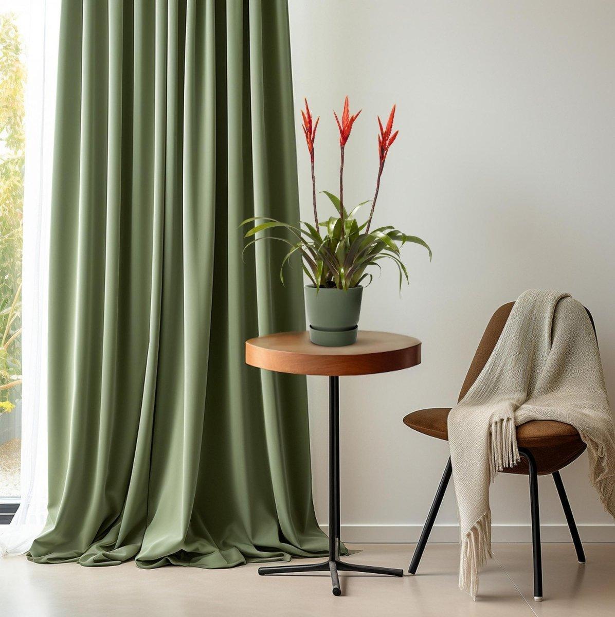Vriesea Elan Toef - Ø12cm - ↕55cm-Plant-Planten Magie